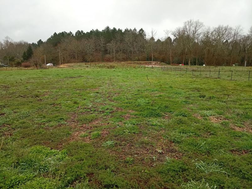 Vente terrain  1678 m² à Rion-des-Landes (40370), 81 950 €