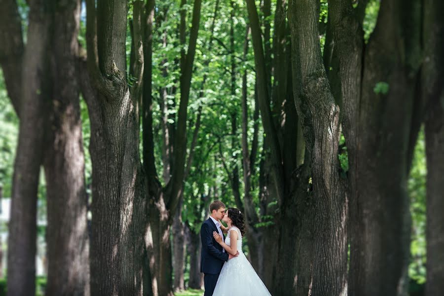 Wedding photographer Ekaterina Kuranova (blackcat). Photo of 7 October 2016