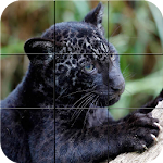 Cover Image of Download Puzzle - Wild animals 1.08 APK