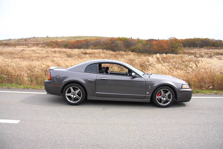 マスタングSVTコブラのSVT cobra・美ヶ原高原・美ヶ原ビーナスラインに関するカスタム事例の投稿画像24枚目