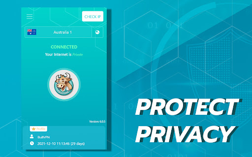 BullVPN - VPN Proxy Unlock Website & Security