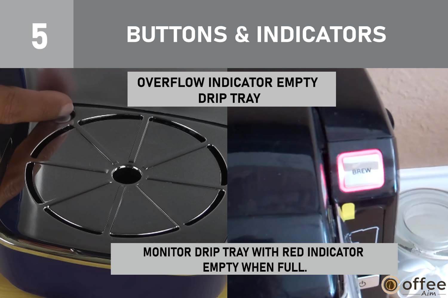 The included image illustrates the "Drip Tray Overflow Indicator and Emptying" under the section "Buttons & Indicators" in the comprehensive guide on using the Keurig B-31.