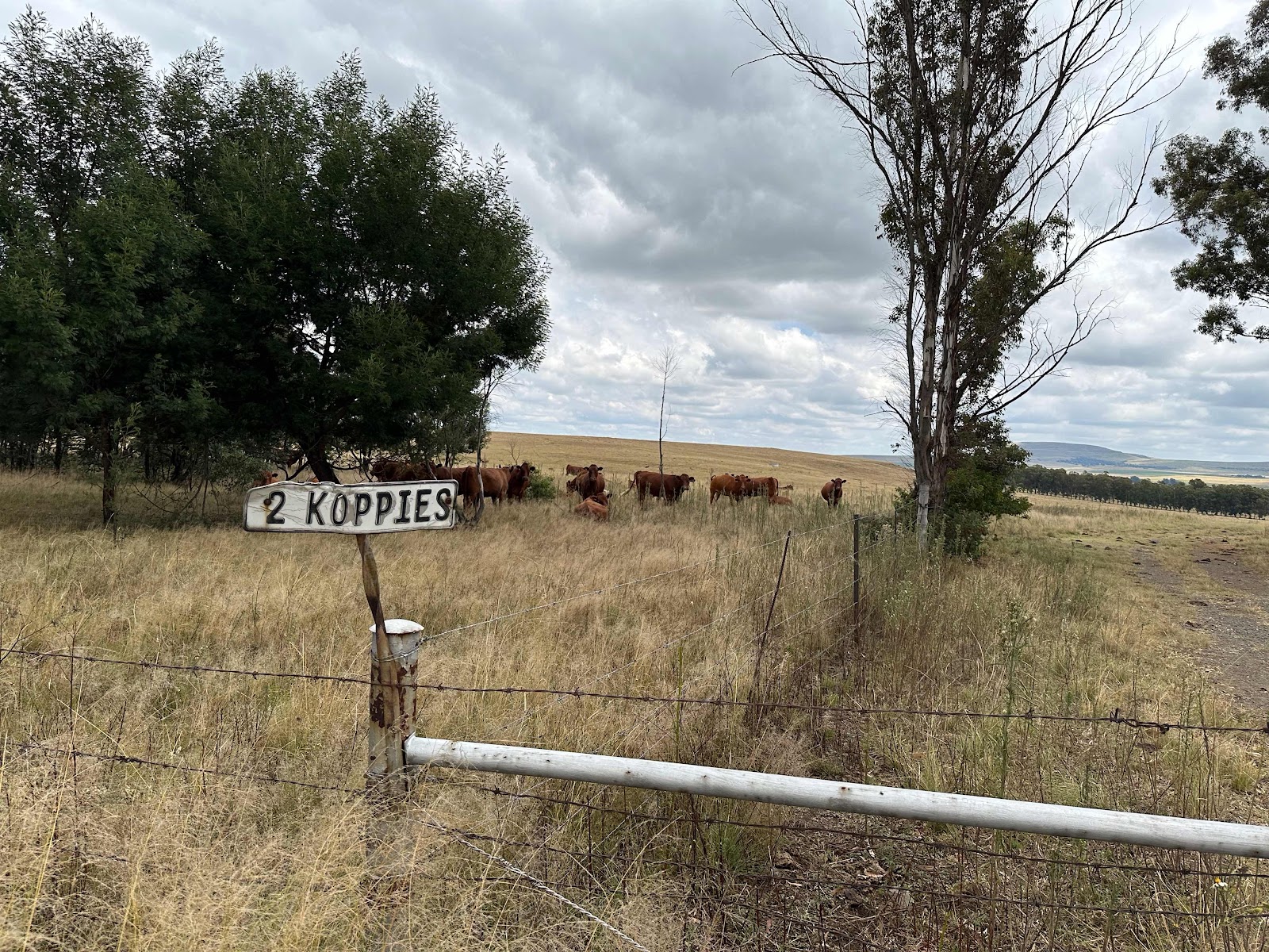 Tussen Johannesburg en Dundee