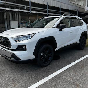 RAV4 AXAP54