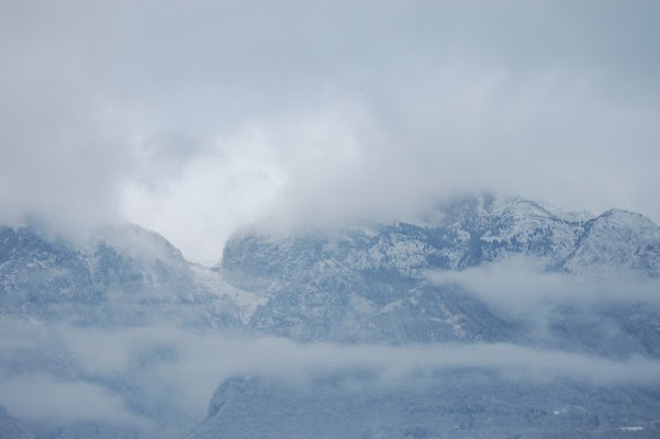 Nebbia d'alta montagna di luca.z