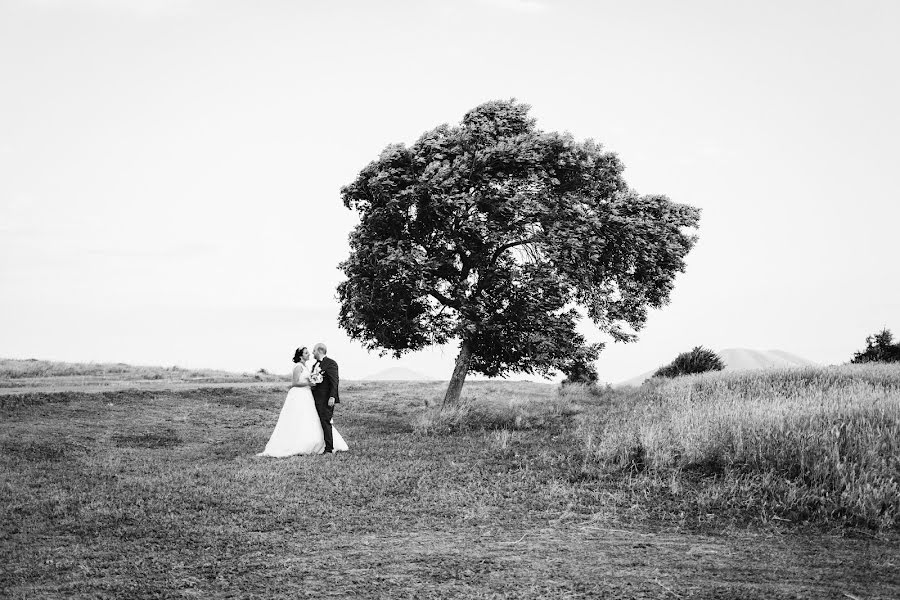 Wedding photographer Hovhannes Boranyan (boranyan). Photo of 15 January 2017