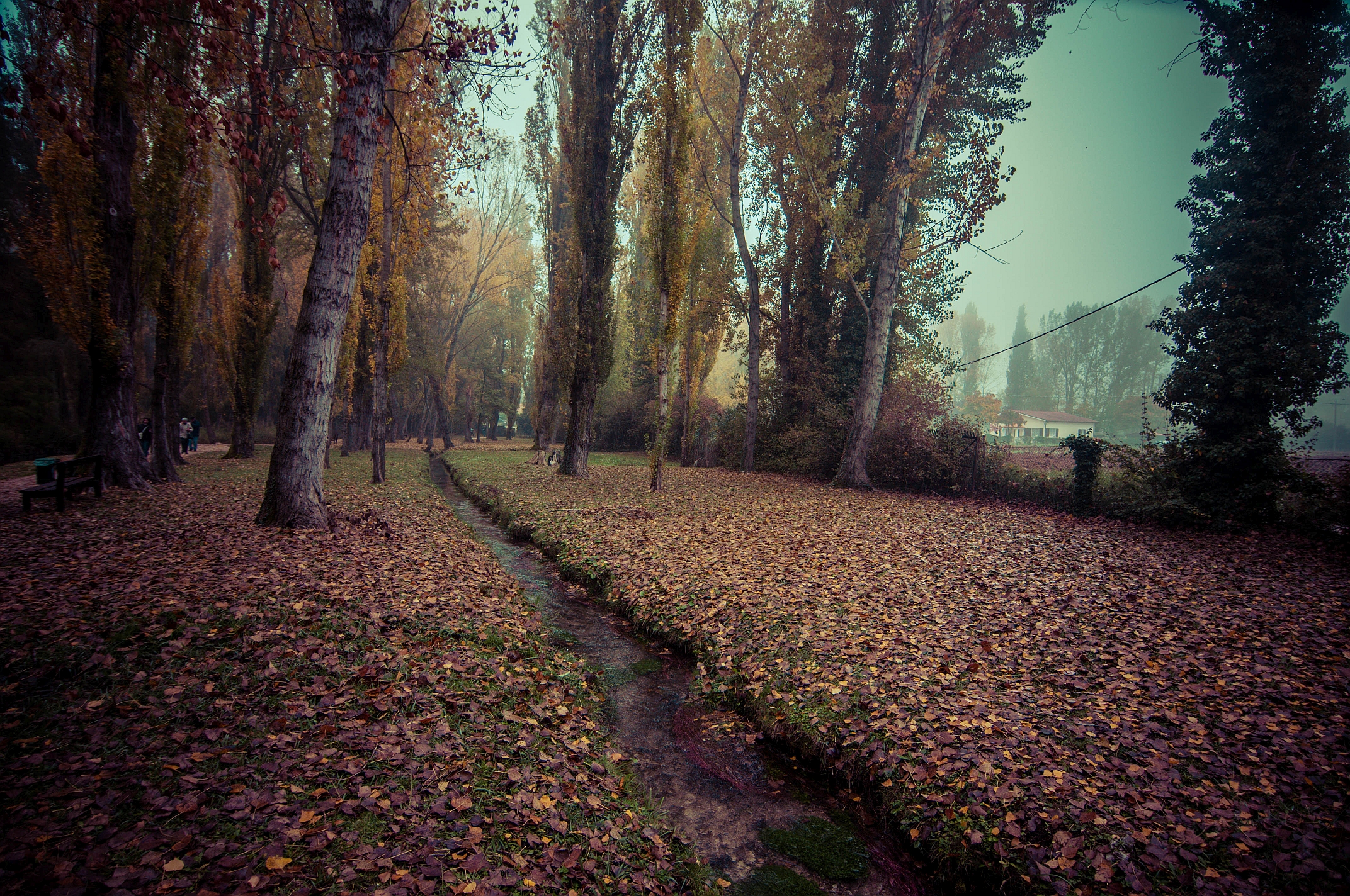 Nebbia d'autunno di Massimiliano zompi
