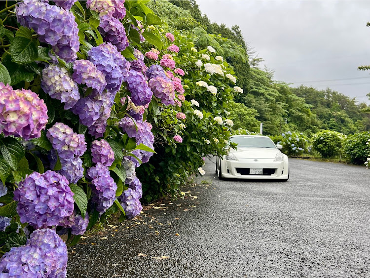 フェアレディZのてつさんファイト・Fabro Racing・カモイレーシング・梅雨の晴れ間☀・熱中症に注意に関するカスタム事例の投稿画像4枚目