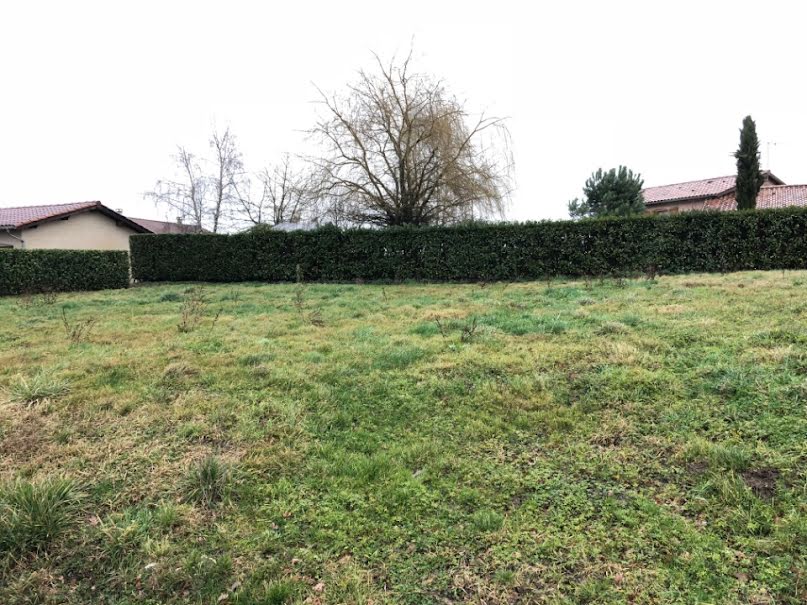 Vente terrain  555 m² à Saint-Etienne-sur-Chalaronne (01140), 85 000 €