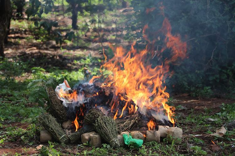 Fire destroying bhang nabbed in different parts of the county