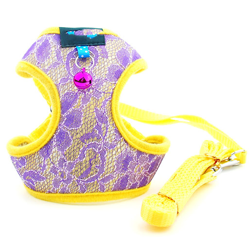 Title 4, Fashion Lace Mesh Fabric Traction Rope Stylish ...