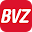 BVZ Download on Windows