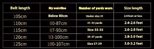 Title 6, Mens Plate Belt Leather High-end 3D Golden Hor...