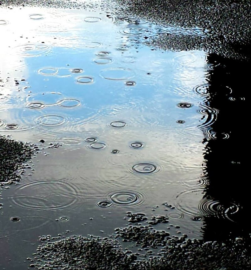 Il cielo in una pozza di Jorjo