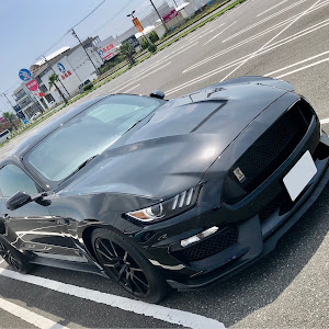 シェルビー GT350