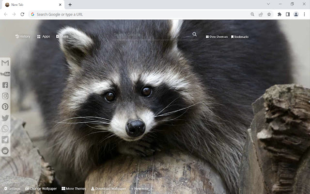 Wild Animal Wallpaper chrome extension