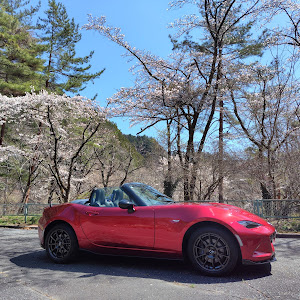 ロードスター ND5RC