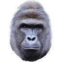 Harambe's Toolkit Chrome extension download