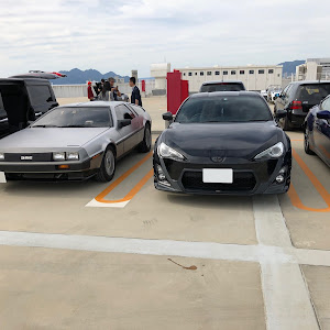 86 ZN6