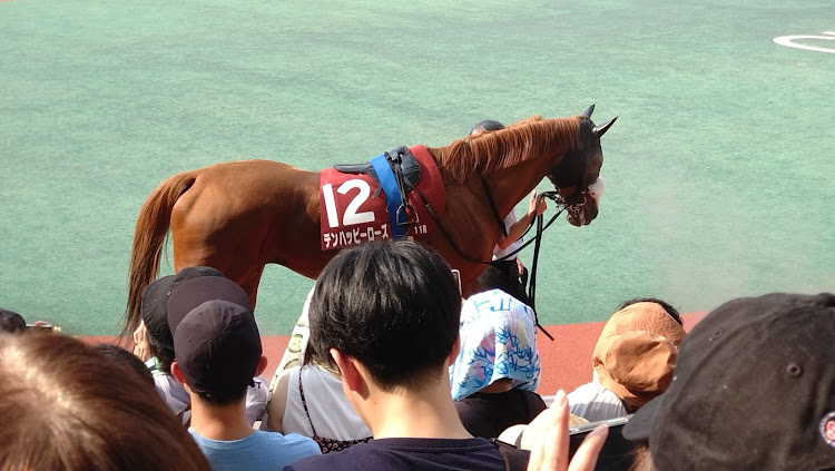 インプレッサ スポーツの痛車・競馬・中京競馬場・セントウルステークスに関するカスタム事例の投稿画像2枚目