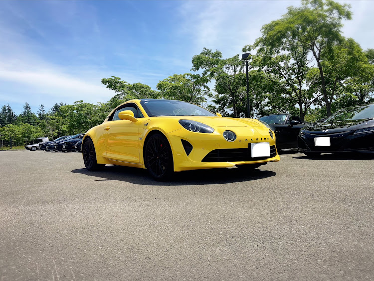 DMC-12のアルピーヌA110・デロリアン DMC-12・ガルウィング・モエレに関するカスタム事例の投稿画像3枚目