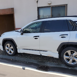 RAV4 MXAA54