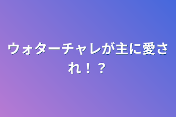 ウォターチャレが主に愛され！？