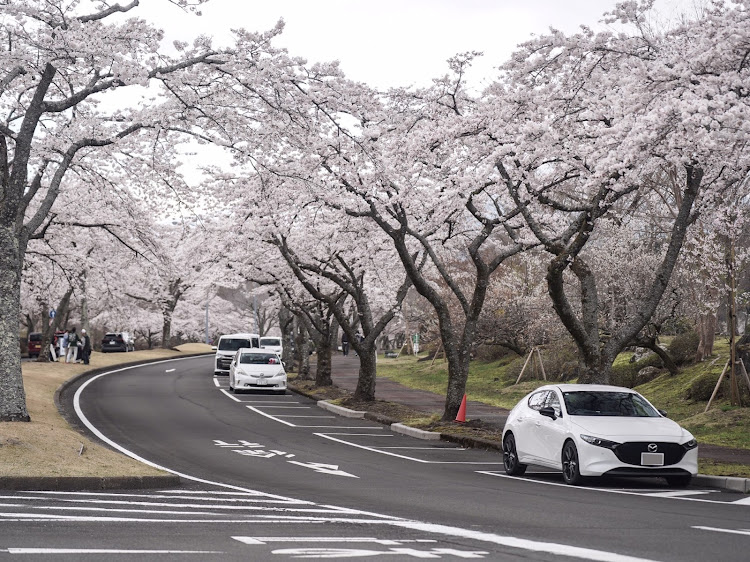 MAZDA3の坊主Bouzu さんが投稿したカスタム事例の投稿画像15枚目