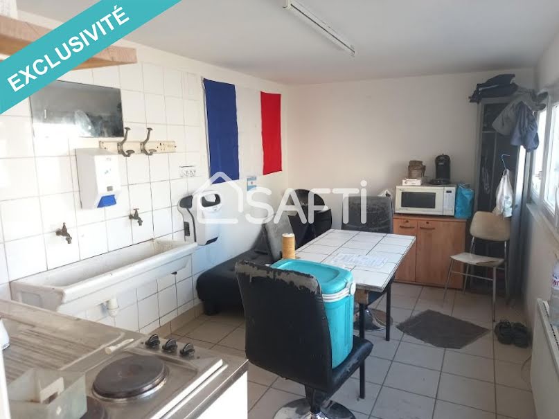 Vente locaux professionnels 3 pièces 878 m² à Descartes (37160), 132 500 €