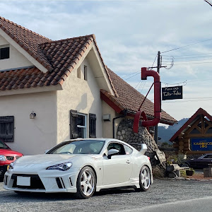 86 ZN6