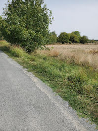 terrain à Meschers-sur-Gironde (17)