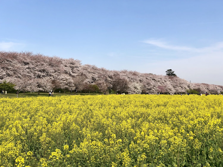 の投稿画像3枚目