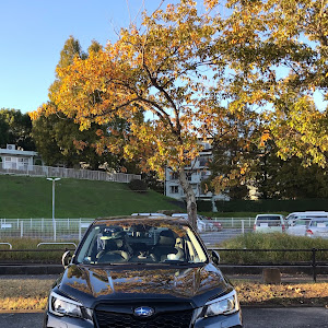 フォレスター SK9