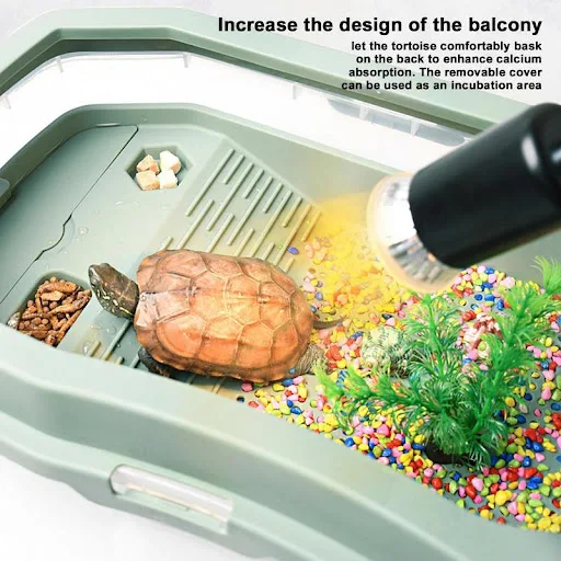 Turtle Tank Baby Turtle Habitat with Lid Widen Double Layer Anti-Slip Detachable Pet Tortoise Habitat for Crayfish Small