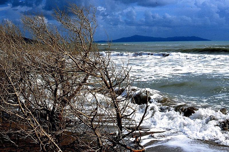 Vento di burrasca in Maremma di Cary