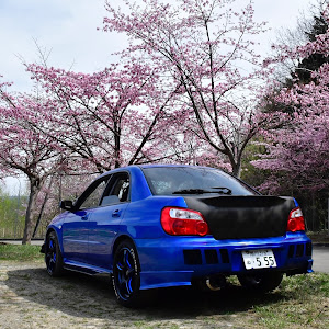 インプレッサ WRX STI GDB