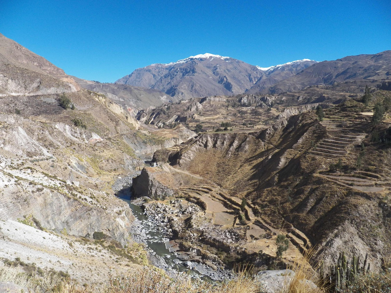 Colca Canyon, Peru