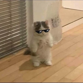 こんにちは！