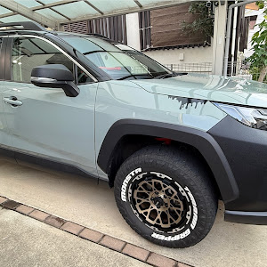 RAV4 MXAA54