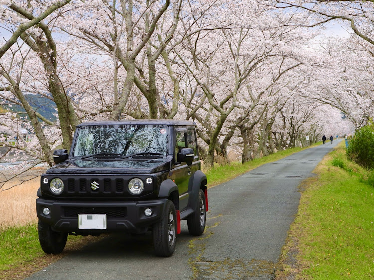 ジムニーシエラのサクラと愛車・桜・桜コラボ・桜とコラボに関するカスタム事例の投稿画像2枚目