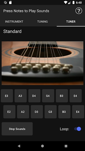 Screenshot MusicToolkit Lite: 12 String