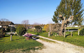 maison à Bazas (33)