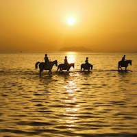 Passeggiata a cavallo di 