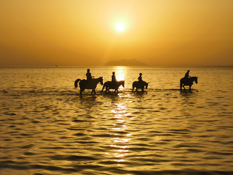 Passeggiata a cavallo di utente cancellato