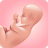 Pregnancy Due Date Tracker icon