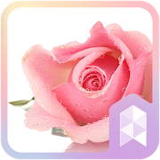 The Rose Theme: Free Wallpaper  Icon