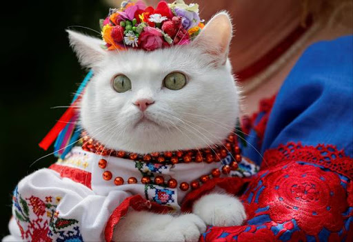 A woman dressed in a traditional Ukrainian embroidered shirt holds her cat as she take part in an embroidered shirt parade in central Kiev, Ukraine.