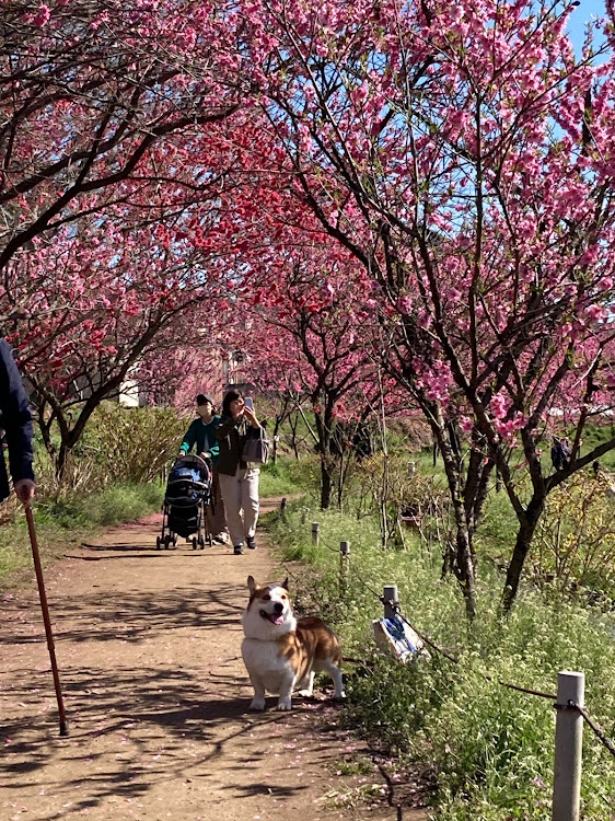 の投稿画像3枚目