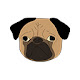 Pugs Wallpapers Pug New Tab Theme