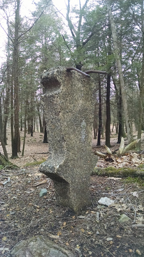 Sculpture In The Woods